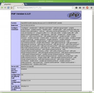 phpinfo_openbsd_54